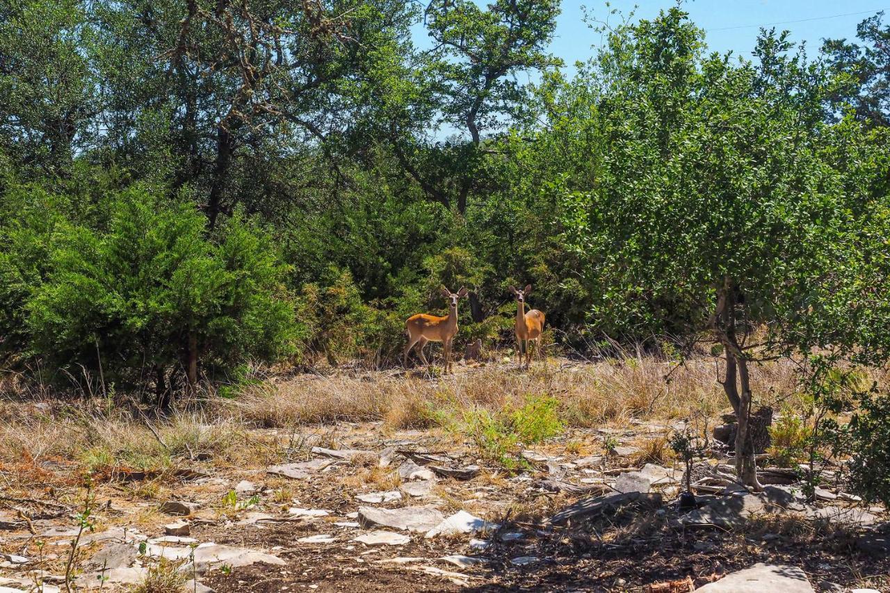 Cozy Kerrville Guest Cottage Near Guadalupe River! Exterior photo